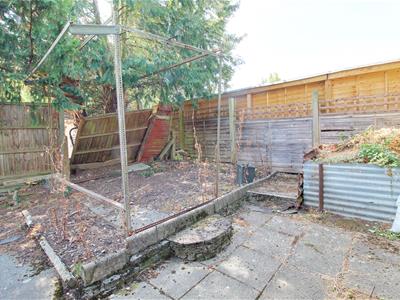 Picture 10